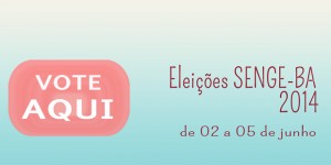 Eleições: como acessar o Sistema Eleitoral