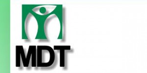 Pauta política do MDT para 2014