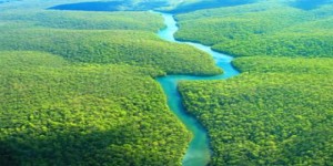 Indústria quer quebrar barreiras e explorar melhor a biodiversidade
