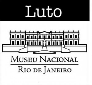 Federação de Sindicatos de Engenheiros presta solidariedade aos pesquisadores e trabalhadores do Museu Nacional