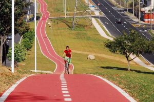 Artigo I É o fim do transporte público?